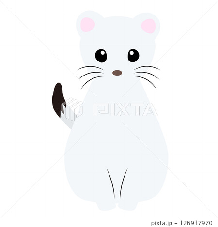 座りポーズのかわいいオコジョ（正面）のイラスト 126917970