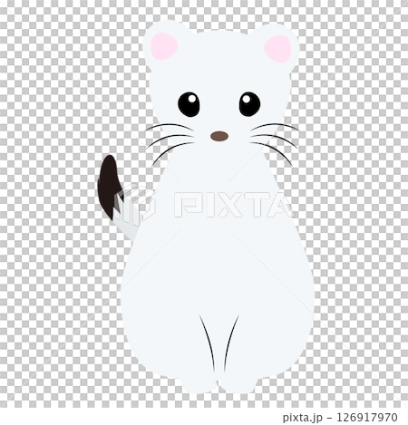 座りポーズのかわいいオコジョ（正面）のイラスト 126917970