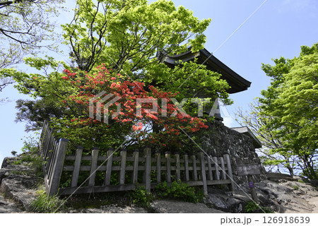 筑波山男体山の御本殿 126918639