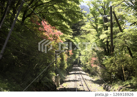 ケーブルカーの線路 ケーブルカーの線路 126918926