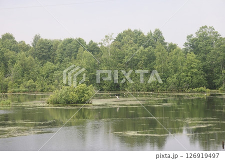 panoramic lake landscape. Nature view on beautiful lake with green trees.. panoramic lake landscape. Nature view on beautiful lake with green trees.. 126919497