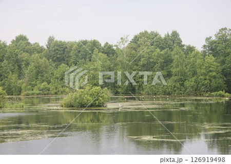 panoramic lake landscape. Nature view on beautiful lake with green trees.. 126919498