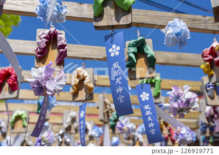 服部天神宮　下駄回廊　あじさいと短冊 126919771