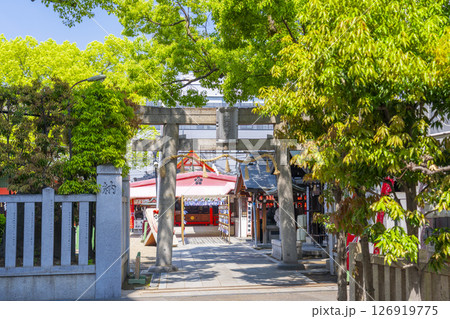 服部天神宮 下駄回廊 あじさいと短冊 服部天神宮 下駄回廊 あじさいと短冊 126919775