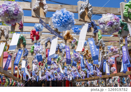 服部天神宮 下駄回廊 あじさいと短冊 服部天神宮 下駄回廊 あじさいと短冊 126919782
