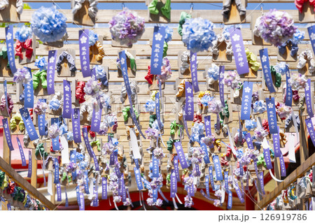 服部天神宮　下駄回廊　あじさいと短冊 126919786