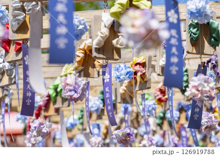 服部天神宮　下駄回廊　あじさいと短冊 126919788