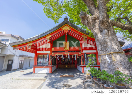 服部天神宮 豊中えびす神社 服部天神宮 豊中えびす神社 126919793