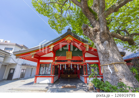 服部天神宮　豊中えびす神社 126919795