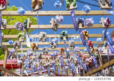 服部天神宮　下駄回廊　あじさいと短冊 126919796