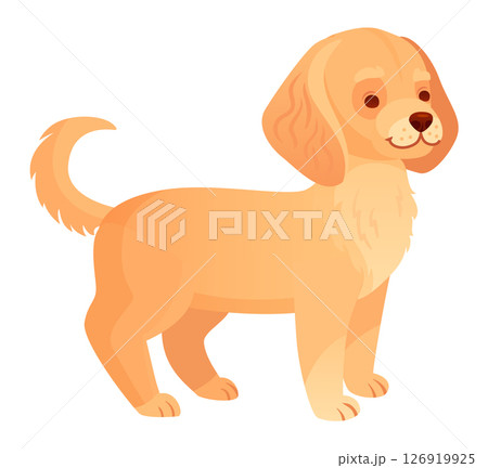 Golden retriever puppy standing in profile view, tail wagging happily, radiating the playful and friendly spirit characteristic of this beloved breed. Adorable and full of joy Golden retriever puppy standing in profile view, tail wagging happily, radiating the playful and friendly spirit characteristic of this beloved breed. Adorable and full of joy 126919925