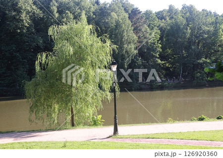 Beautiful colorful summer spring natural landscape with a lake in Park surrounded by green foliage 126920360