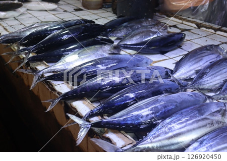 フィリピンの市場で売られている新鮮な魚 フィリピンの市場で売られている新鮮な魚 126920450
