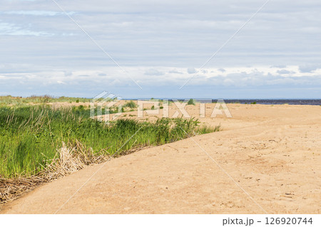 A tranquil sandy beach with patches of lush green vegetation 126920744