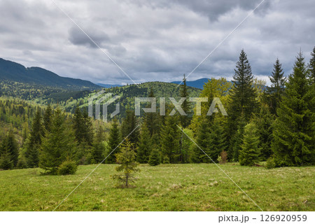 Picturesque mountain landscape. Mountain slopes with meadows, forests and cloudy sky.  126920959