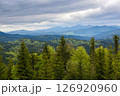 Picturesque mountain landscape. Mountain slopes with meadows, forests and cloudy sky.  126920960