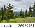 Picturesque mountain landscape. Mountain slopes with meadows, forests and cloudy sky. 126920961