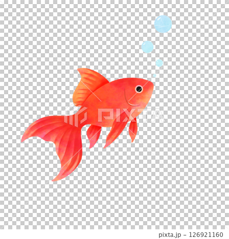水彩風格紅金魚與氣泡 126921160