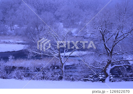 川霧立ち込める朝 126922070