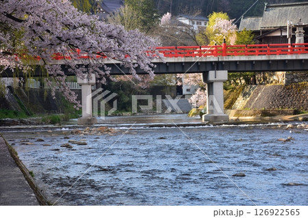 日本の岐阜県　春の高山市　満開の桜と観光名所の中橋と宮川　周辺の街並みと美しい新緑 126922565