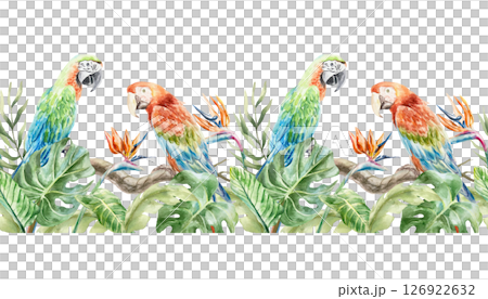 Tropical seamless border with parrots, palm leaves, monstera, strelitzia flowers. Hand drawn watercolor illustration isolated on white. Cards, invitations, summer banners, wallpapers, fabric. Tropical seamless border with parrots, palm leaves, monstera, strelitzia flowers. Hand drawn watercolor illustration isolated on white. Cards, invitations, summer banners, wallpapers, fabric. 126922632