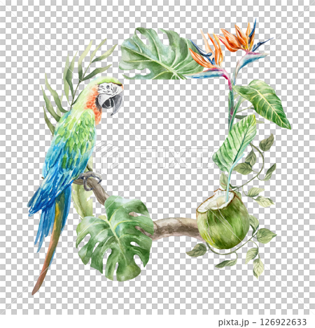 Tropical frame with monstera, palm, banana leaves, strelitzia flowers and blue parrot. Hand drawn watercolor illustration isolated. For postcards, invitations, summer banners, covers, labels. 126922633