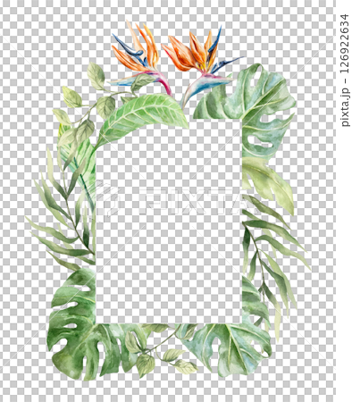 Tropical frame with palm leaves, monstera, liana, strelitzia flowers. Hand drawn watercolor illustration isolated on white. For postcards, invitations, summer banners, covers, labels. Tropical frame with palm leaves, monstera, liana, strelitzia flowers. Hand drawn watercolor illustration isolated on white. For postcards, invitations, summer banners, covers, labels. 126922634