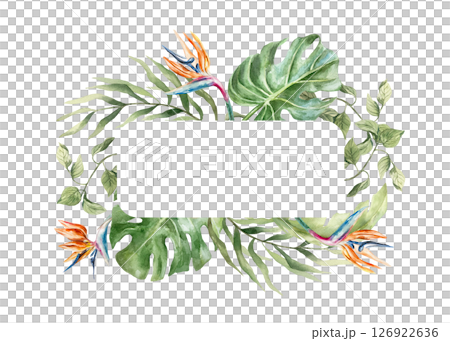 Tropical leaves frame with space for text. Plants strelitzia, monstera, palms. Hand drawn watercolor illustration isolated on white. Postcards, invitations, summer banners, covers, labels. Tropical leaves frame with space for text. Plants strelitzia, monstera, palms. Hand drawn watercolor illustration isolated on white. Postcards, invitations, summer banners, covers, labels. 126922636