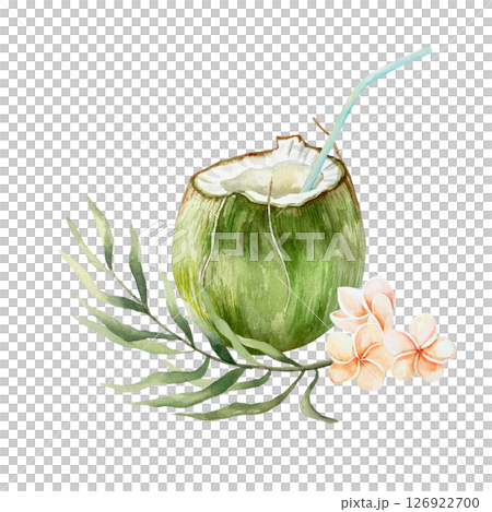 Coconut drink in green fruit with straw, plumeria flowers, palm branch. Watercolor illustration isolated on white. For postcards, invitations, tropical summer banners, menu, labels. Coconut drink in green fruit with straw, plumeria flowers, palm branch. Watercolor illustration isolated on white. For postcards, invitations, tropical summer banners, menu, labels. 126922700