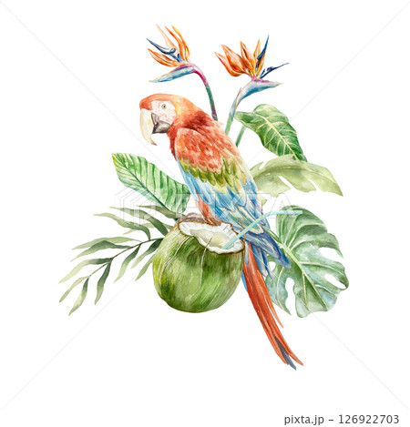 Macaw parrot, coconut drink in green nut, strelitzia, palm leaves. Hand drawn watercolor illustration isolated on white. For postcards, invitations, tropical summer banners, posters, labels. Macaw parrot, coconut drink in green nut, strelitzia, palm leaves. Hand drawn watercolor illustration isolated on white. For postcards, invitations, tropical summer banners, posters, labels. 126922703