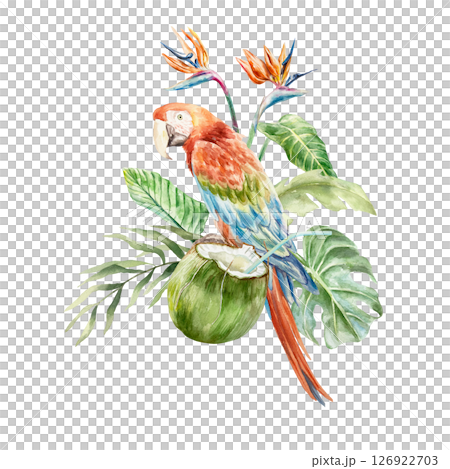Macaw parrot, coconut drink in green nut, strelitzia, palm leaves. Hand drawn watercolor illustration isolated on white. For postcards, invitations, tropical summer banners, posters, labels. Macaw parrot, coconut drink in green nut, strelitzia, palm leaves. Hand drawn watercolor illustration isolated on white. For postcards, invitations, tropical summer banners, posters, labels. 126922703
