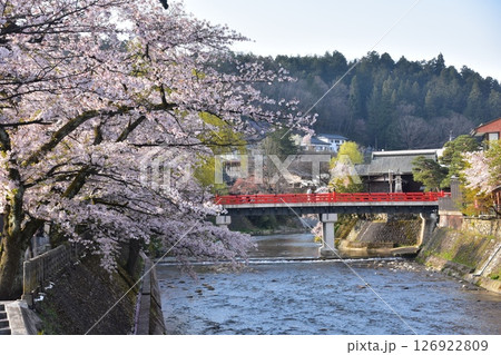 日本の岐阜県　春の高山市　満開の桜と観光名所の中橋と宮川　周辺の街並みと美しい新緑 126922809