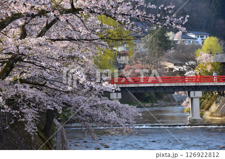 日本の岐阜県 春の高山市 満開の桜と観光名所の中橋と宮川 周辺の街並みと美しい新緑 日本の岐阜県 春の高山市 満開の桜と観光名所の中橋と宮川 周辺の街並みと美しい新緑 126922812