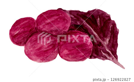 しそ漬け梅干しの手描き水彩イラスト 126922827