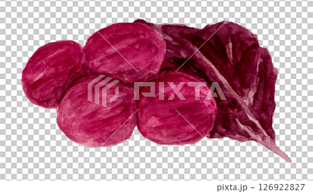 しそ漬け梅干しの手描き水彩イラスト 126922827