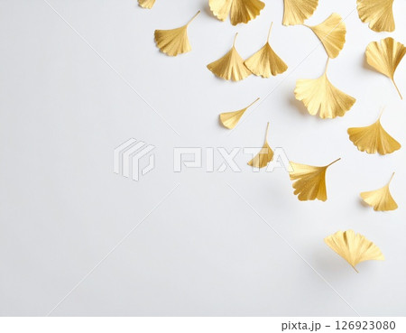 金色のイチョウが舞う白背景 金色のイチョウが舞う白背景 126923080