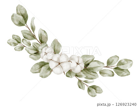 Botanical watercolor illustration with Eucalyptus branches and Cotton pods. Floral drawing for wedding invitations and Baby shower invitations with natural elements. Art with leaves and flowers. Botanical watercolor illustration with Eucalyptus branches and Cotton pods. Floral drawing for wedding invitations and Baby shower invitations with natural elements. Art with leaves and flowers. 126923240