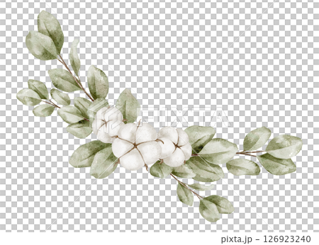 Botanical watercolor illustration with Eucalyptus branches and Cotton pods. Floral drawing for wedding invitations and Baby shower invitations with natural elements. Art with leaves and flowers. Botanical watercolor illustration with Eucalyptus branches and Cotton pods. Floral drawing for wedding invitations and Baby shower invitations with natural elements. Art with leaves and flowers. 126923240