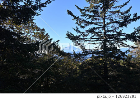 大菩薩嶺登山、山梨県 大菩薩嶺登山、山梨県 126923293