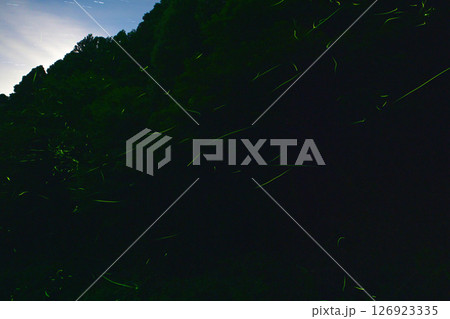 ホタルが乱舞する 鳥川ホタルの里 126923335