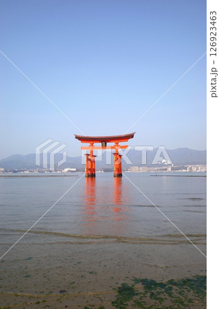 海に立つ神社 海に立つ神社 126923463