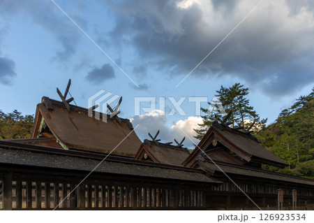 〈島根県〉朝の出雲大社 御本殿 〈島根県〉朝の出雲大社 御本殿 126923534