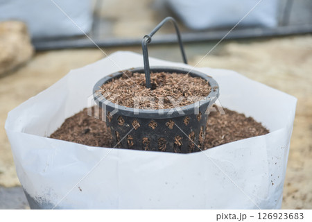 Drip irrigation system 126923683