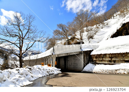 国道353号(十二峠)十日町市側の道路(新潟県十日町市)【2025.3】 126923704