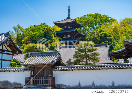 奈良県葛城市 當麻寺の東塔と中之坊 奈良県葛城市 當麻寺の東塔と中之坊 126923753