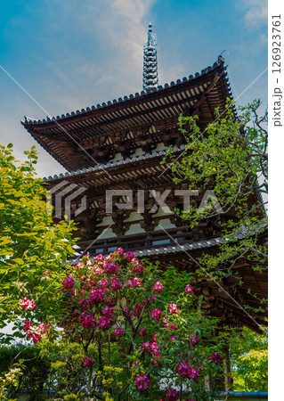 當麻寺　赤いシャクナゲと三重の西塔 126923761