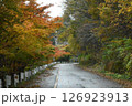 紅葉した木々の間を通っている山の中の道 126923913