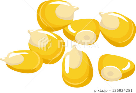 Fresh corn kernels falling and rotating against a crisp white background, creating a vibrant and dynamic visual representation of a staple agricultural product essential for healthy diets 126924281