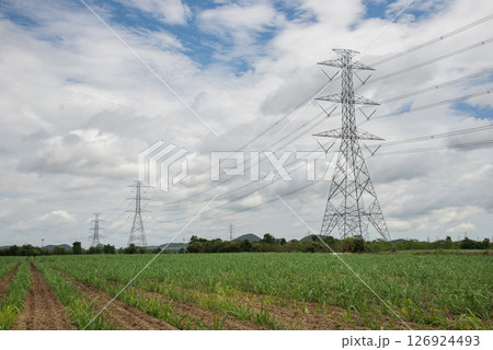 electric pole on the field 126924493