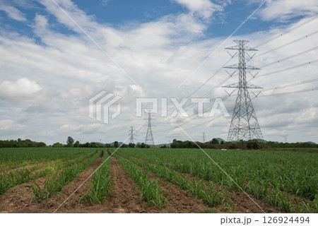 electric pole on the field 126924494